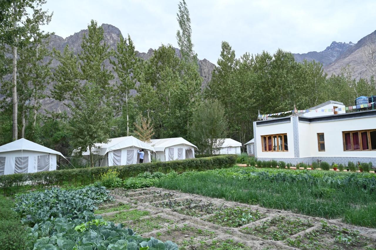 Hunder Stay And Camp Hundar Exterior photo
